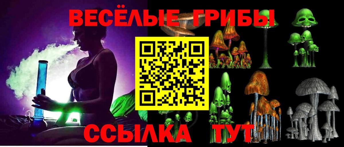 Галлюциногенные грибы Psilocybe Красногорск
