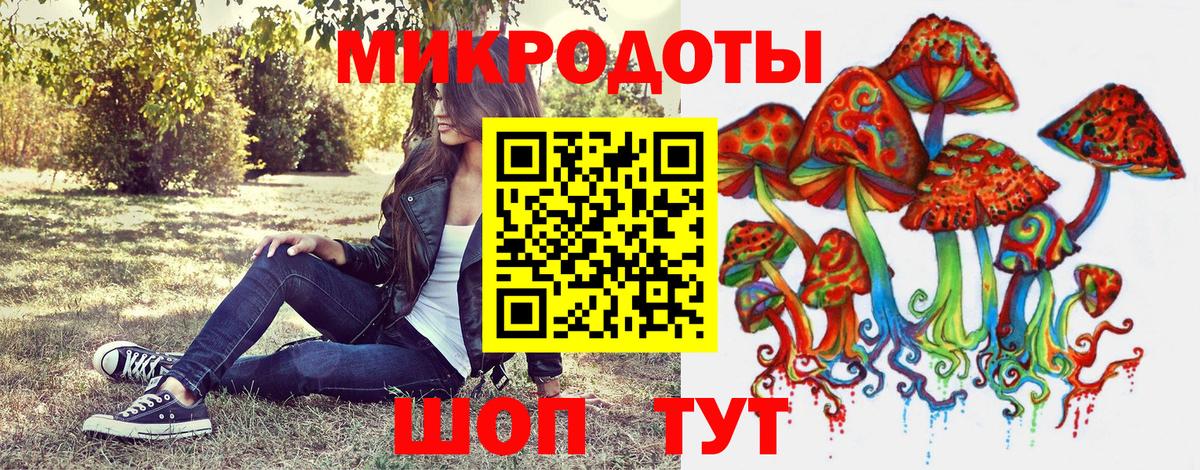Псилоцибиновые грибы Psilocybe  Вход с VPN  Галлюциногенные грибы Psilocybe  Красногорск 